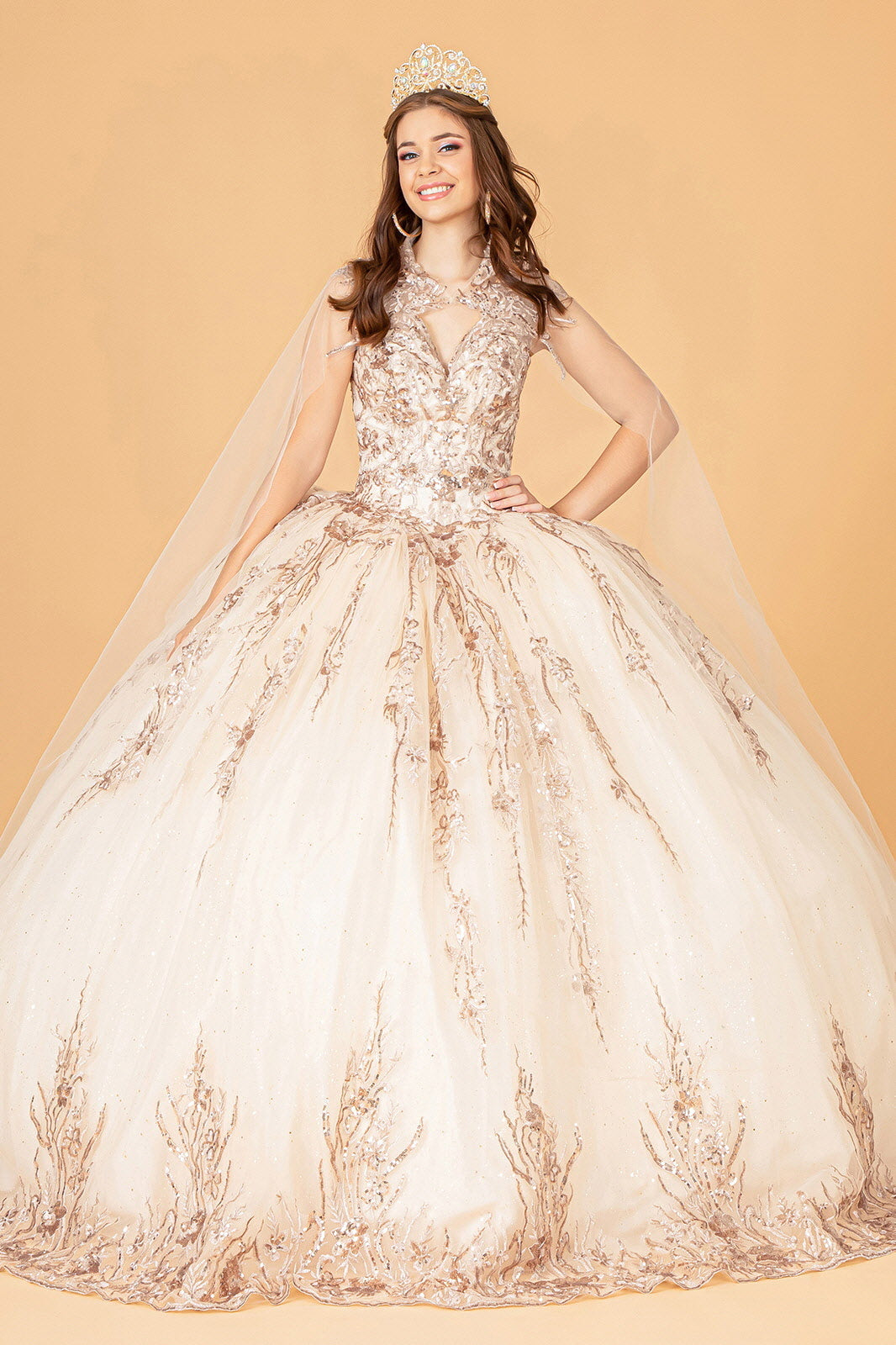 Sequin Glitter Embellished Quinceanera Dress w/ Corset Back GL3076 Eli –  Abigail's Boutique & Alterations Corp