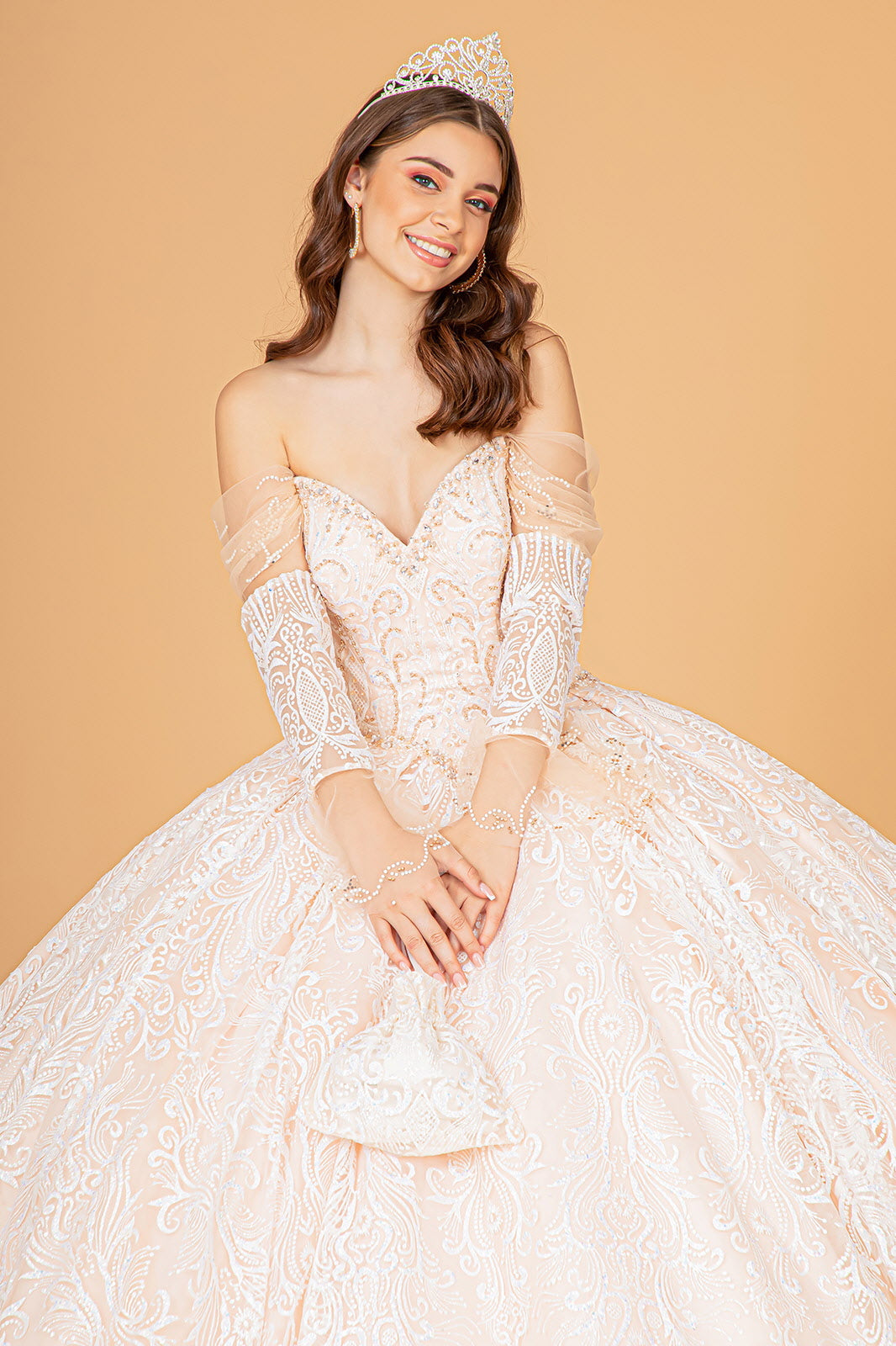 long sleeve champagne quince dress Long Sleeve Quinceanera Dress by House of Wu 26016 12 / Ivory/Sky/Champagne